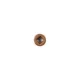 Ultrashield Naturale Teak Coloured Screws (Pack of 100) thumbnail