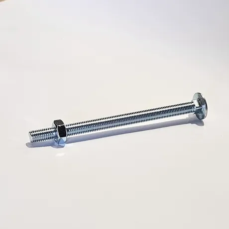 Coach Bolts m10 x 160mm - Each image