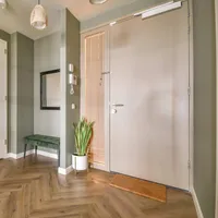 Flush External Doors