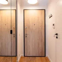 Plywood External Doors
