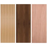 Slab Internal Doors