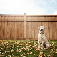 How To Put Up A Simple Timber Fence