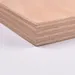 Marine Plywood (2440mm x 1220mm x 18mm) image