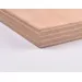 Marine Plywood (2440mm x 1220mm x 12mm) image