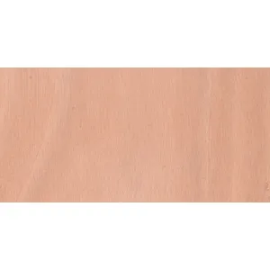 Marine Plywood (2440mm x 1220mm x 18mm) image