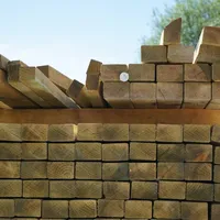 C24 Regularised Treated Whitewood Timber (4.8m x 95mm x 45mm)