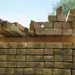 C24 Regularised Treated Whitewood Timber (4.8m x 145mm x 45mm) image
