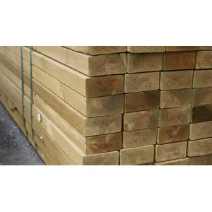 C24 Regularised Treated Whitewood Timber (4.8m x 95mm x 45mm) image