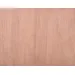 Exterior Grade Hardwood Plywood (2440mm x 1220mm x 12mm) image