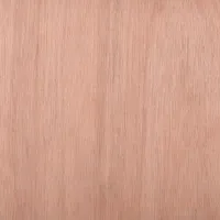 Internal Plywood Door (1981mm x 711mm x 35mm)