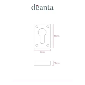 Slim Escutcheon (Pair) Satin Nickel Chrome 35*50mm - Rectangle Rose image