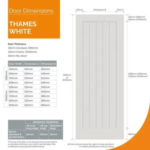 Internal White Primed Thames FD30 Door (2040mm x 926mm x 44mm) image