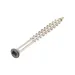 Ultrashield Composite Colour Matched Screws - Light Grey x100 image